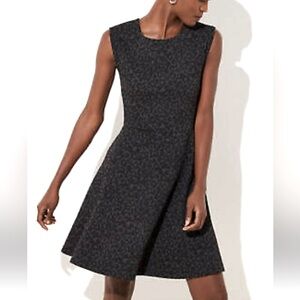 LOFT Leopard Jacquard Knit Skater Dress 6 NWT